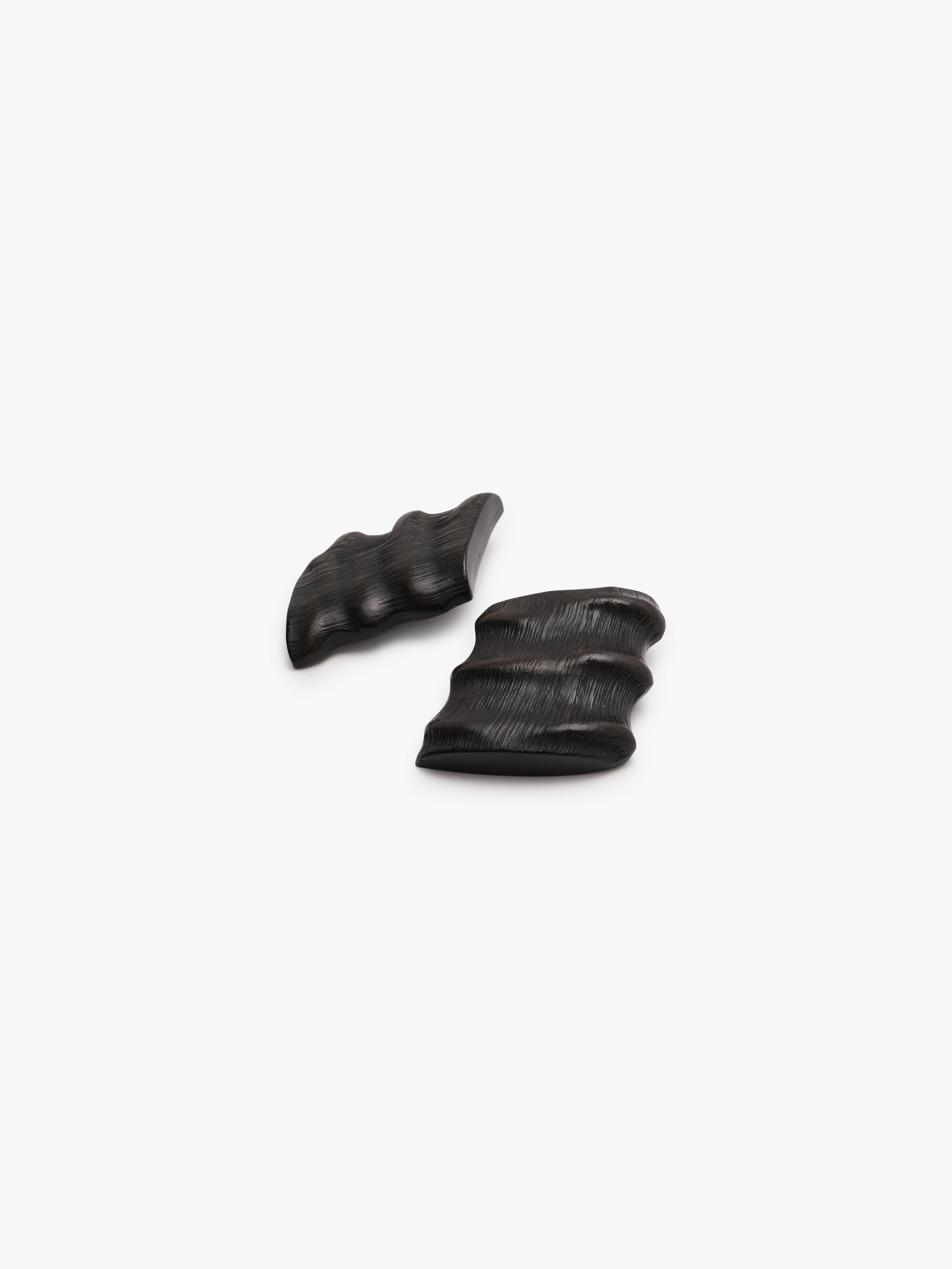 Earrings: horn, leather