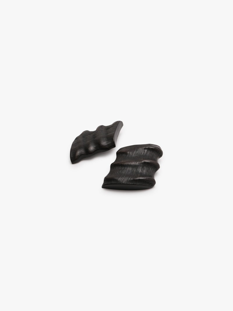 Earrings: horn, leather