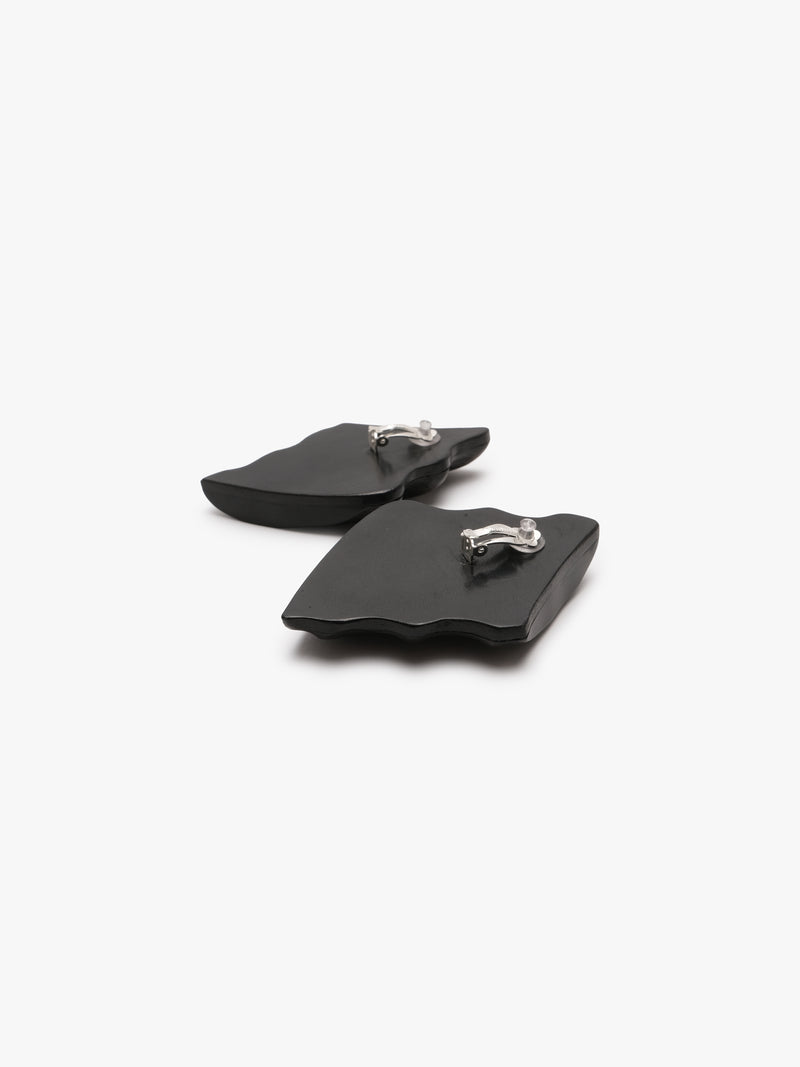 Earrings: horn, leather