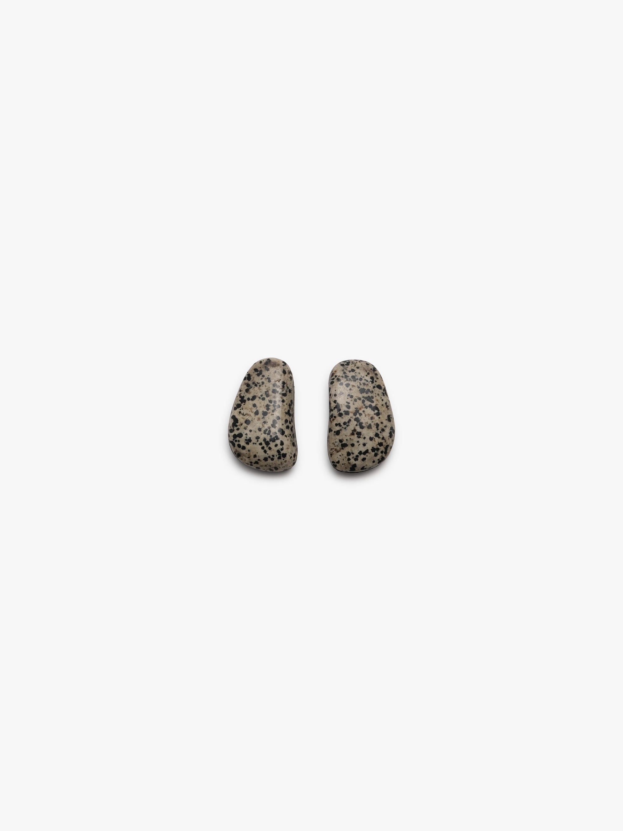 Earrings: dalmatian jasper