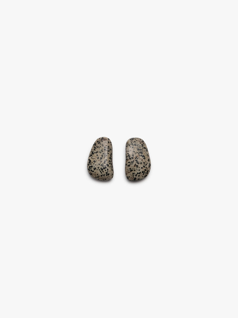 Earrings: dalmatian jasper