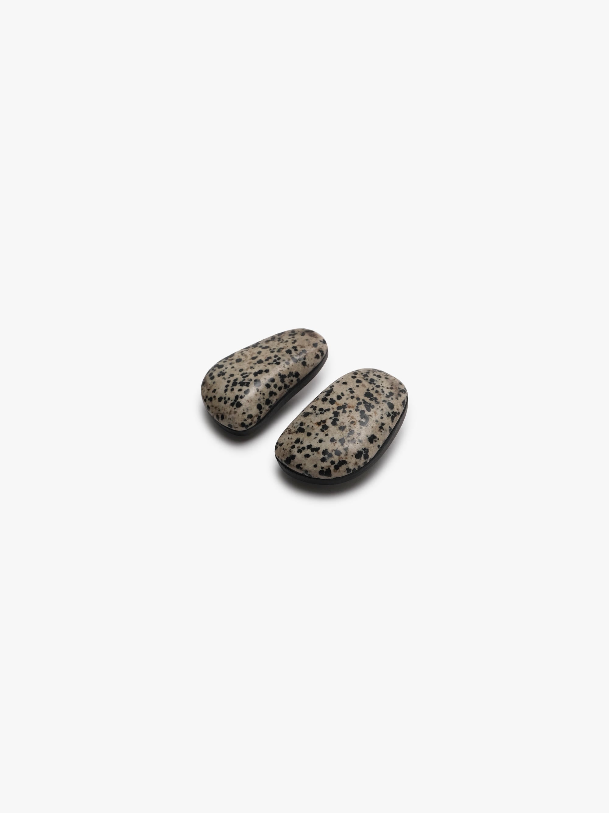 Earrings: dalmatian jasper