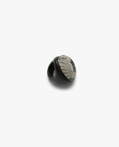 Ring: ammonite, ebony