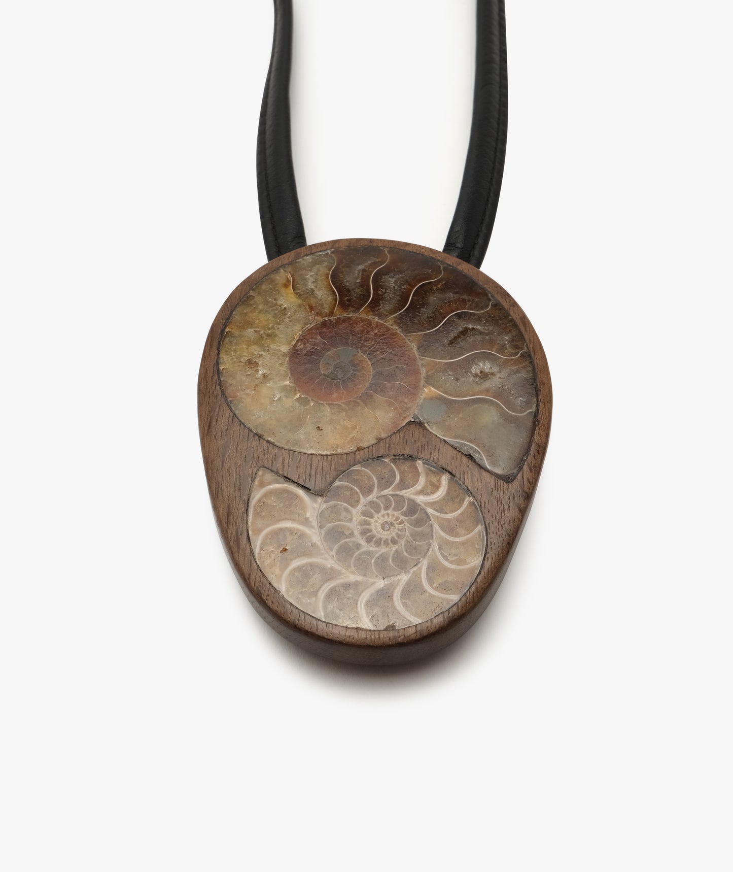 Pendant: bog oak, ammonite