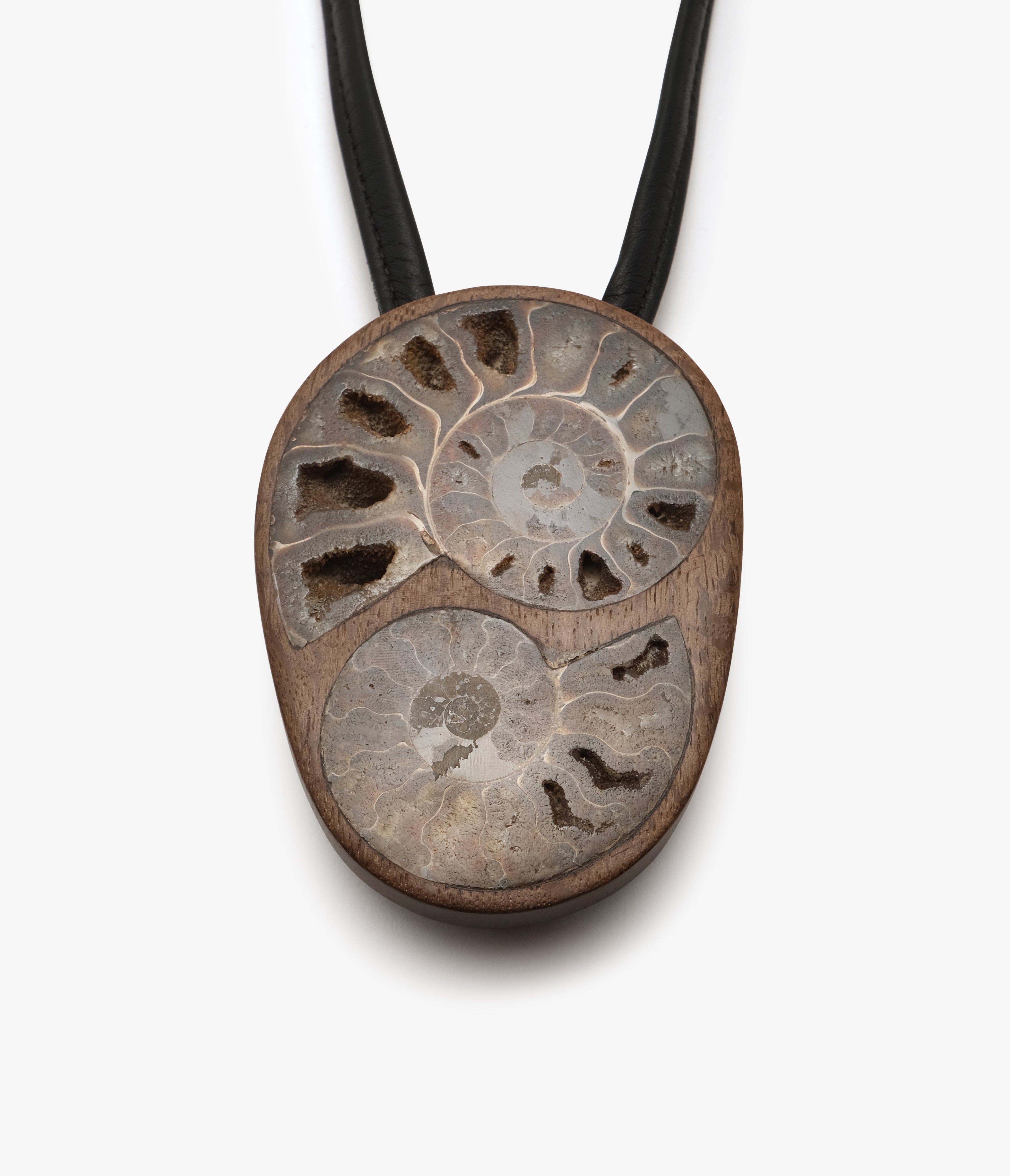 Pendant: bog oak, ammonite, leather