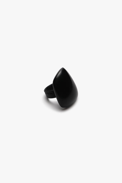 Thipo ring, horn, monies